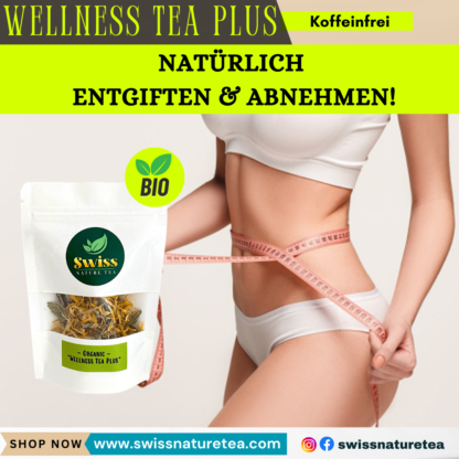 Wellness Tea Plus - Foto 4