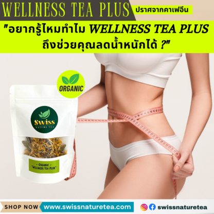 Wellness Tea Plus - ภาพถ่าย 4